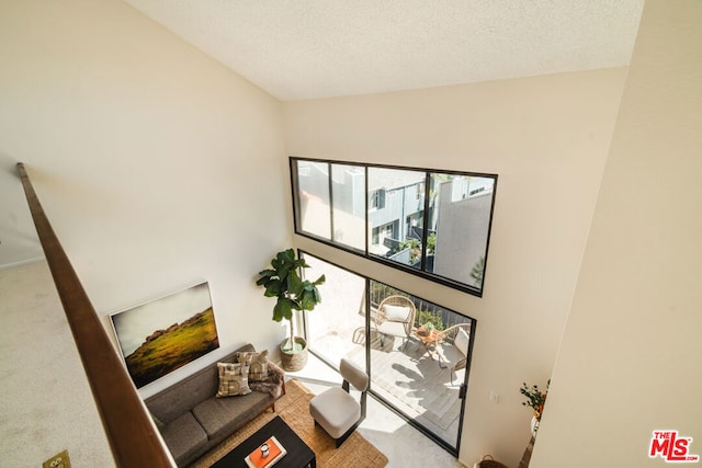 interior space featuring a textured ceiling and vaulted ceiling