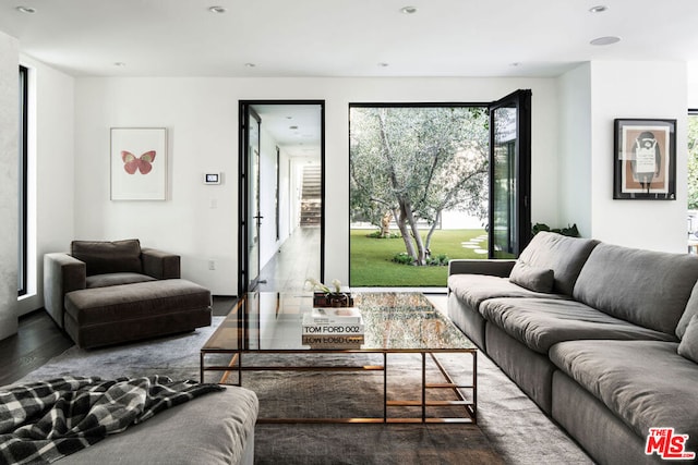 living room featuring wood-type flooring