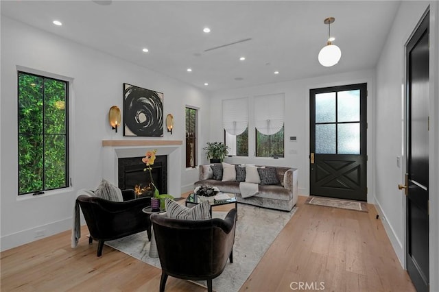 living room featuring light hardwood / wood-style floors