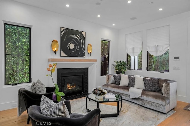 living room with light wood-type flooring and plenty of natural light