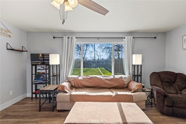 living room with hardwood / wood-style floors and ceiling fan