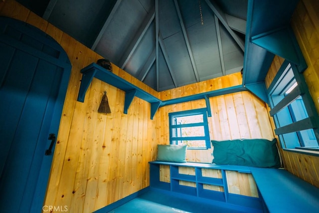 interior space with wooden walls and vaulted ceiling