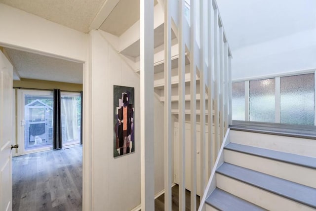 stairs featuring hardwood / wood-style flooring