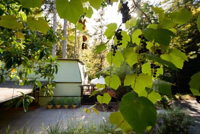 exterior space with a patio