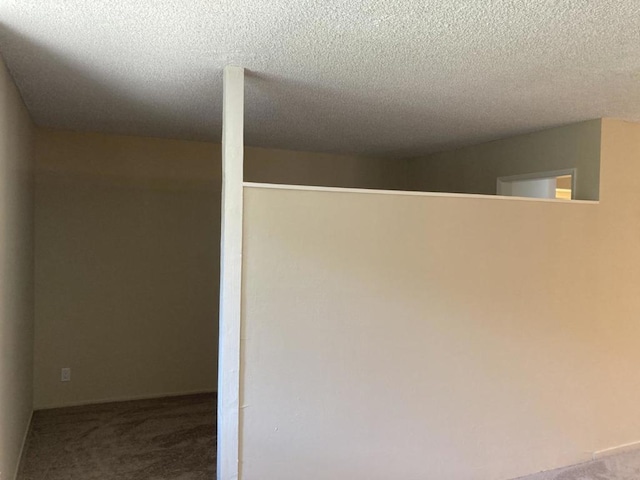 interior space featuring carpet floors and a textured ceiling