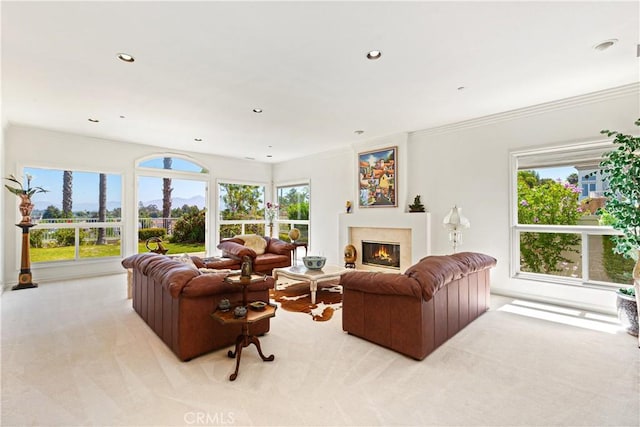 carpeted living room with ornamental molding and a healthy amount of sunlight