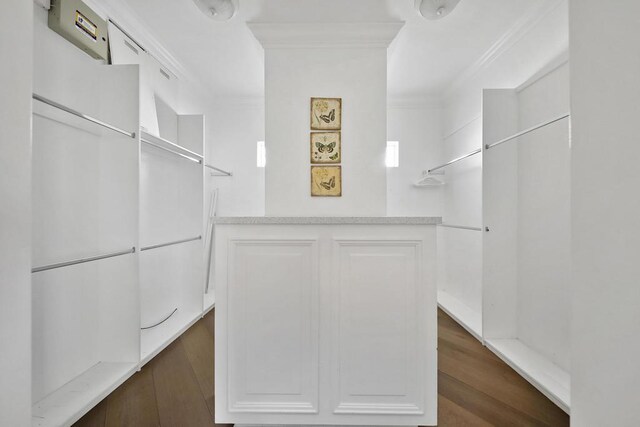 walk in closet with dark hardwood / wood-style floors