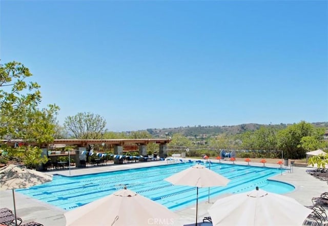 view of swimming pool