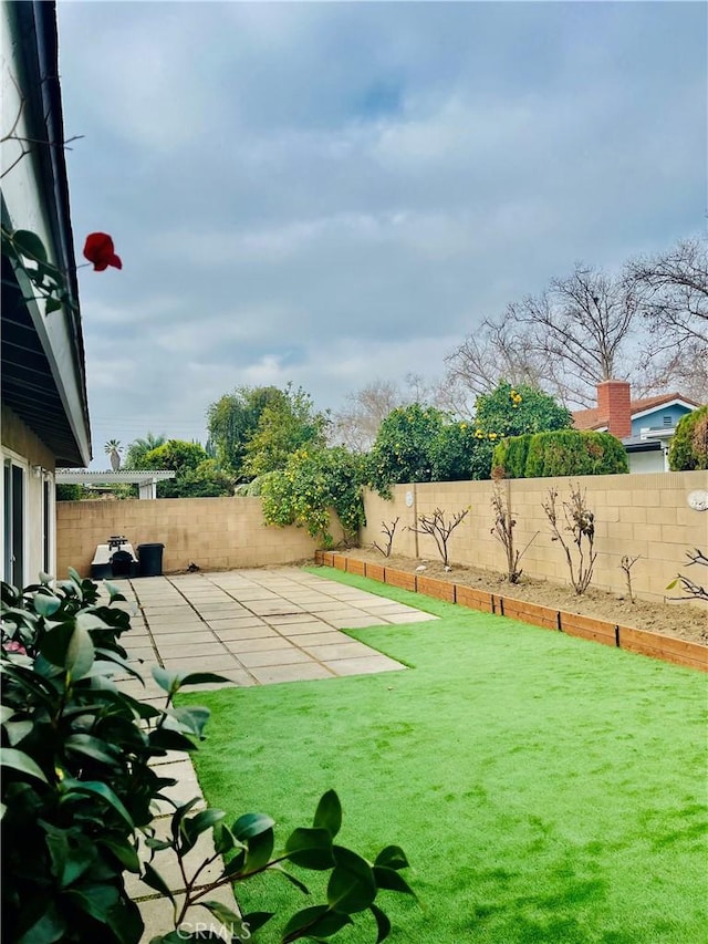 view of yard featuring a patio