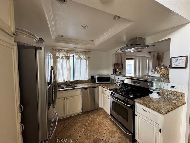 kitchen with appliances with stainless steel finishes, a raised ceiling, dark stone counters, range hood, and sink