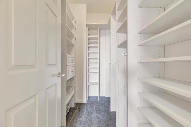 walk in closet with carpet floors