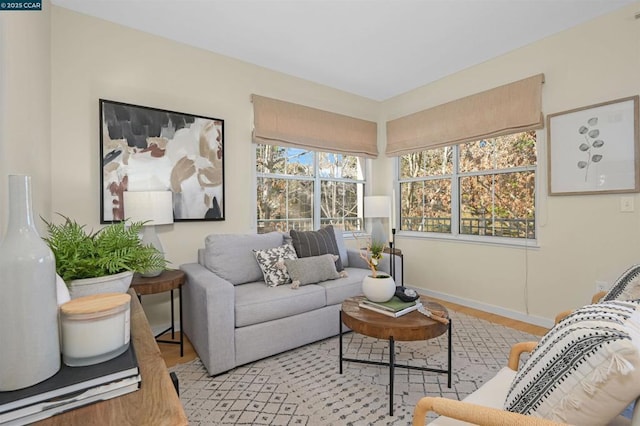 living room with light hardwood / wood-style flooring