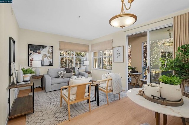 living room featuring light hardwood / wood-style floors