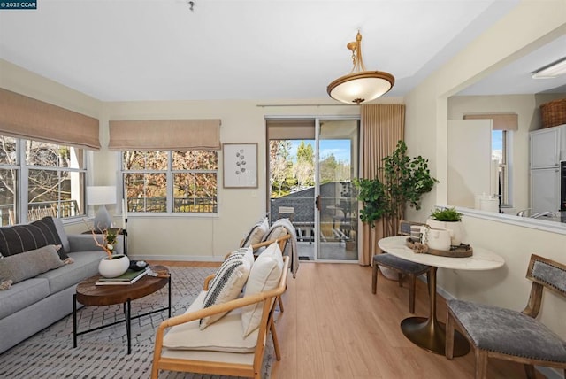 living room with light hardwood / wood-style floors