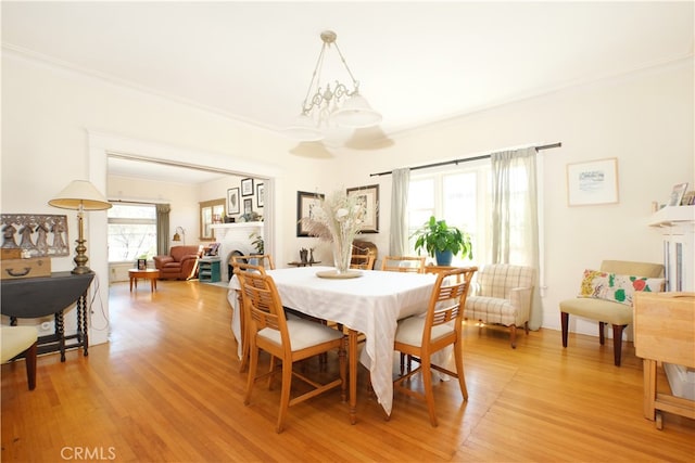 dining area featuring a healthy amount of sunlight, ornamental molding, and light hardwood / wood-style flooring