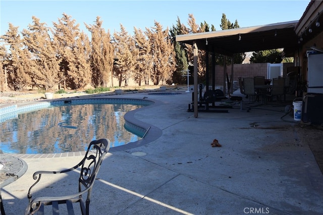 view of swimming pool with a patio