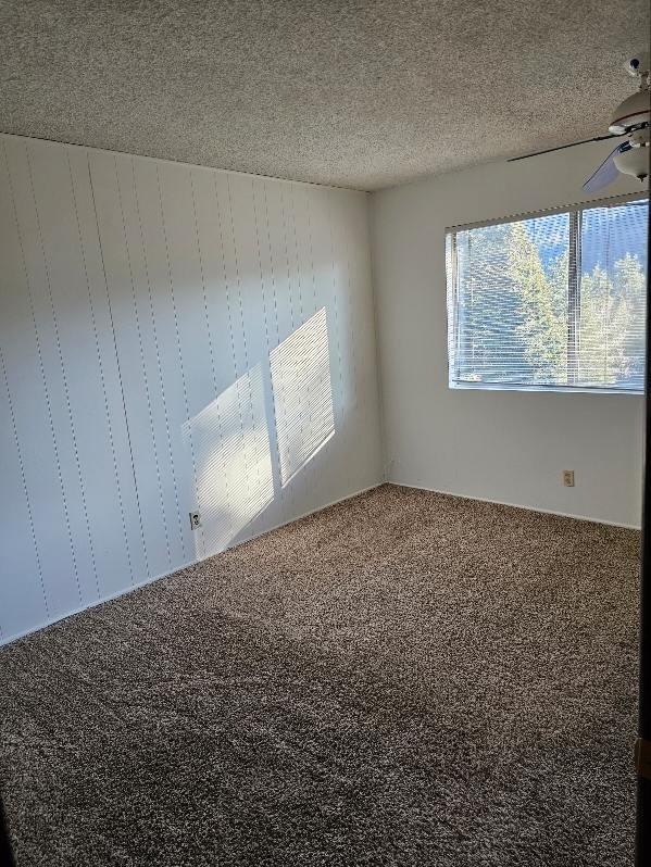 carpeted empty room featuring ceiling fan and a textured ceiling