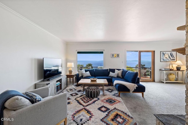 carpeted living room featuring ornamental molding