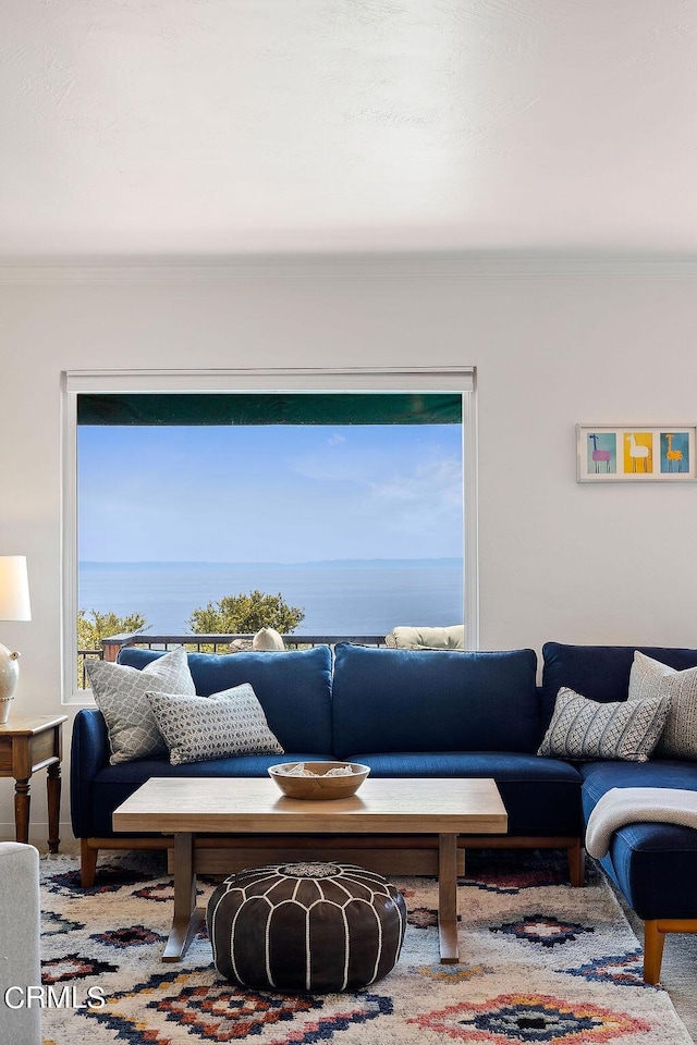 living room featuring a water view and crown molding