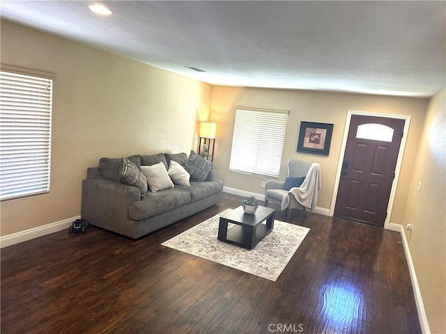 living room featuring dark hardwood / wood-style floors