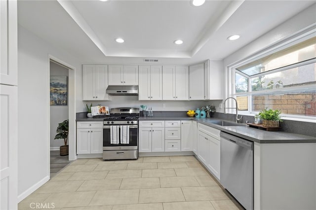 kitchen with white cabinetry, appliances with stainless steel finishes, a tray ceiling, and sink