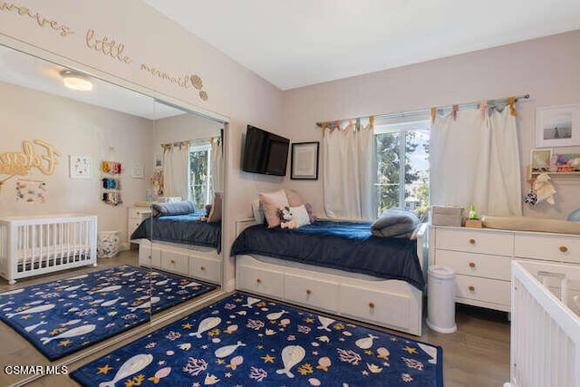 bedroom with multiple windows and hardwood / wood-style floors