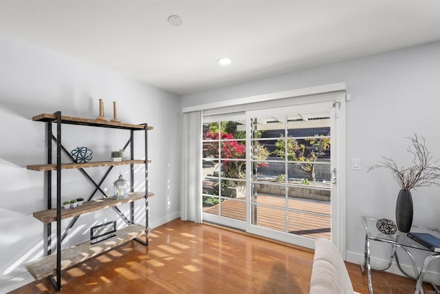 doorway featuring hardwood / wood-style flooring