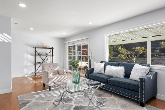 living room with hardwood / wood-style floors