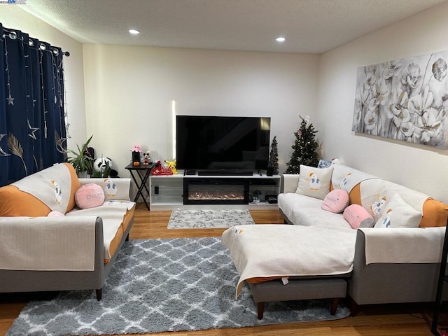 living room featuring wood-type flooring