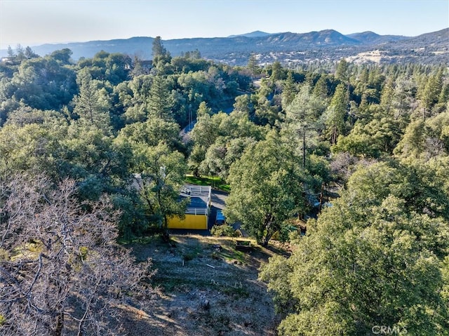 drone / aerial view with a mountain view