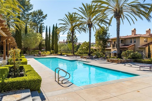 view of pool featuring a patio area