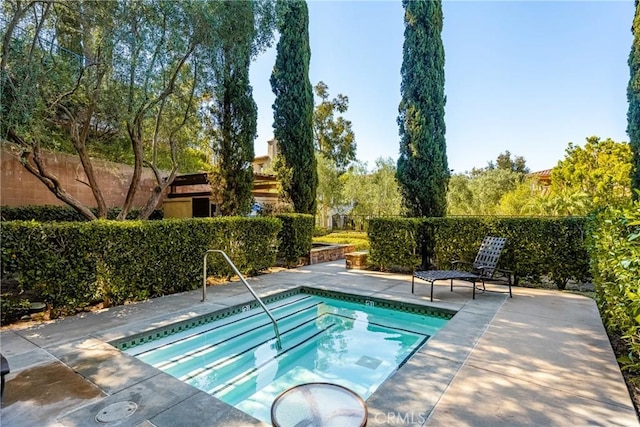 view of pool with a community hot tub and a patio