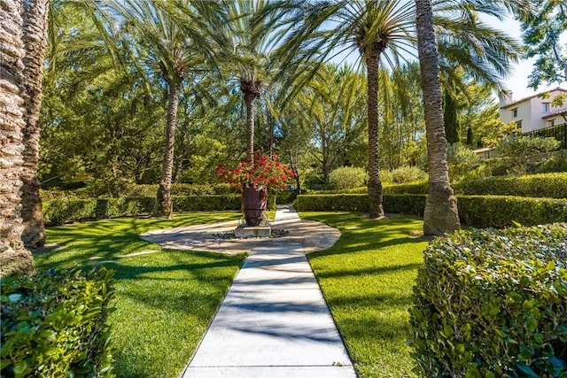 view of community featuring a lawn