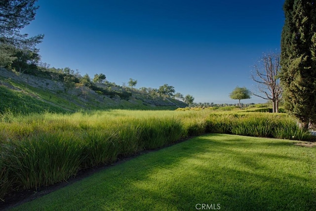 view of yard with a rural view