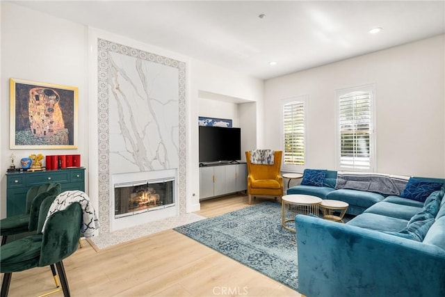 living room featuring wood-type flooring and a high end fireplace