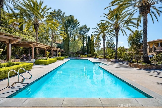 view of swimming pool featuring a patio and a pergola