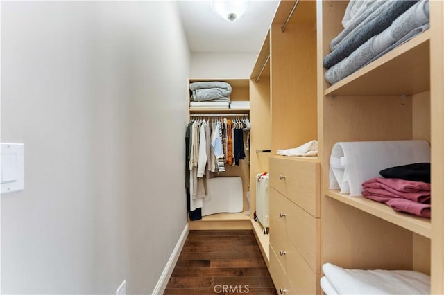 spacious closet featuring dark wood-type flooring