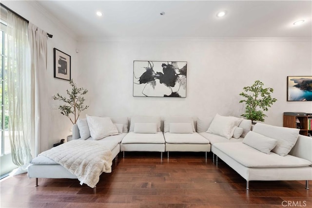 living room featuring dark hardwood / wood-style flooring and ornamental molding