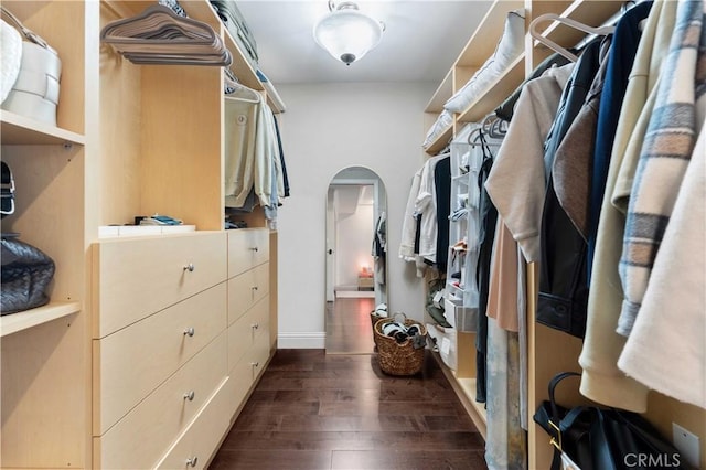 spacious closet featuring dark hardwood / wood-style flooring