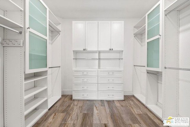 spacious closet with dark hardwood / wood-style floors