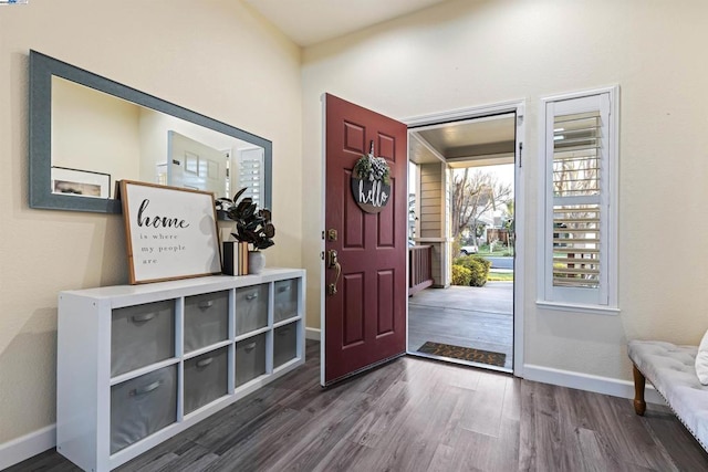 foyer with dark hardwood / wood-style flooring