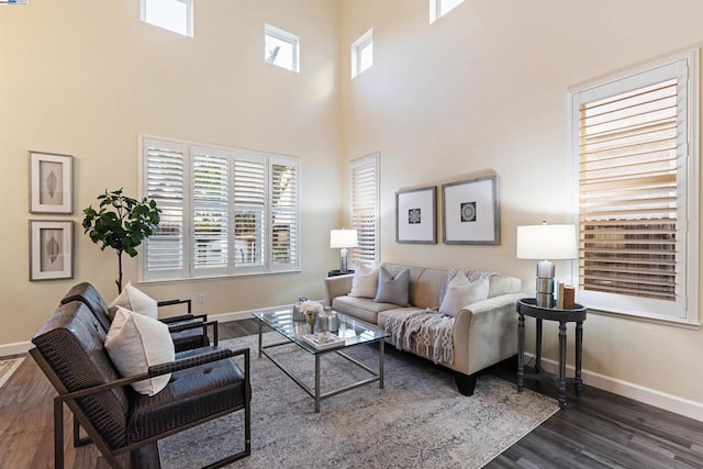 living room with dark hardwood / wood-style floors and a high ceiling