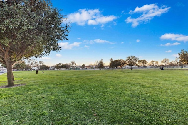 view of home's community with a lawn