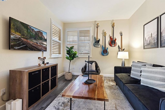 living room with dark hardwood / wood-style floors