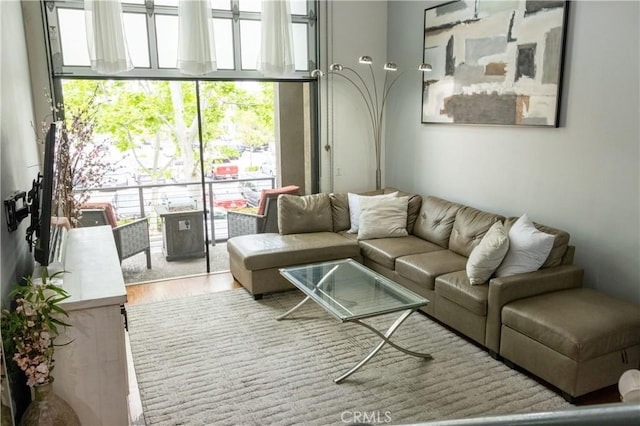 living room with a healthy amount of sunlight and wood-type flooring