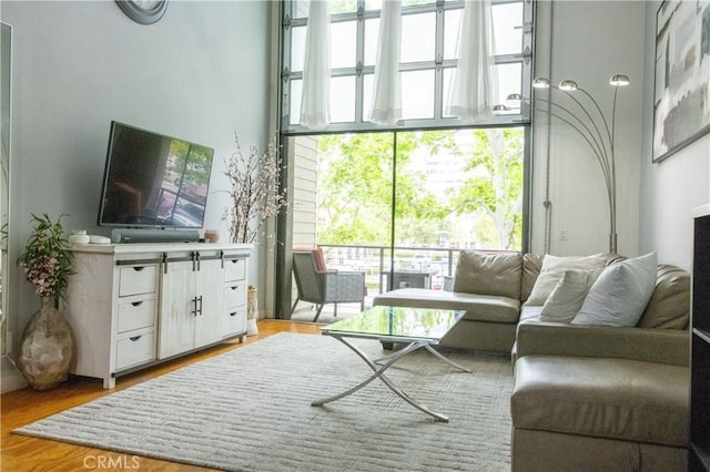 living room featuring light hardwood / wood-style flooring and plenty of natural light