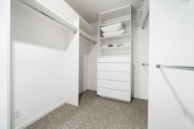 spacious closet featuring light colored carpet