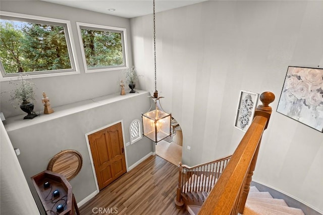 foyer featuring hardwood / wood-style floors