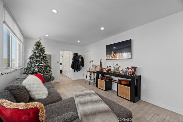 living room featuring light hardwood / wood-style floors