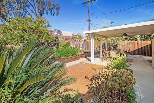 view of yard with ceiling fan and a patio